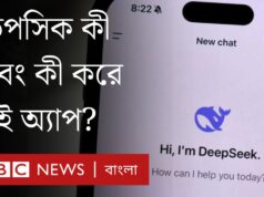 DeepSeek: ডিপসিক কী, কারা ব্যবহার করছে, কী করে এই অ্যাপ?